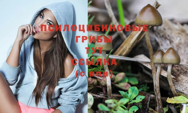 прущие крисы Магадан