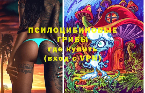 прущие крисы Магадан