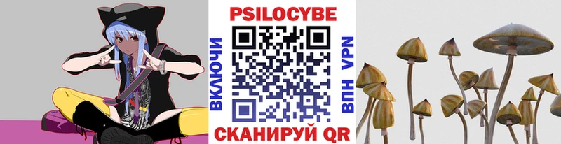Галлюциногенные грибы Psilocybe  Купить где  Курчалой 